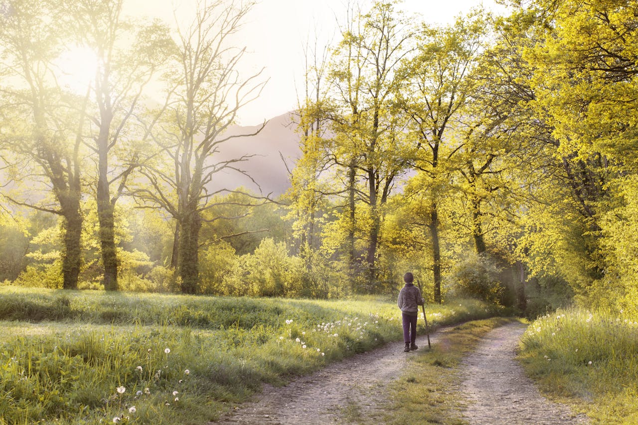 trails for nature lovers