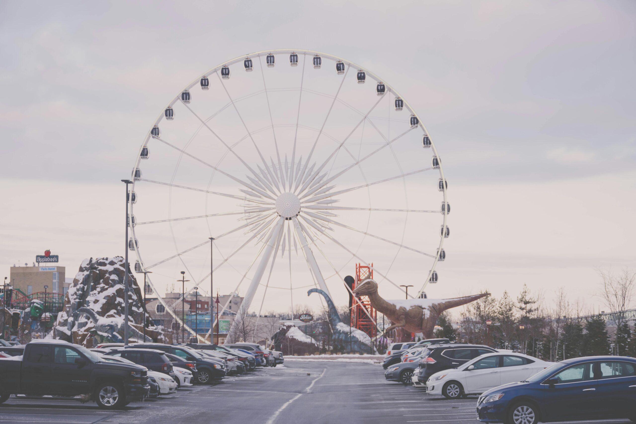 cars, ferris wheel
